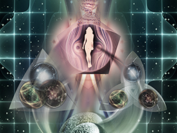 Individuelle Transformation