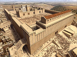Schicksal Jerusalem