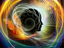 INTELLIGENZ RESET