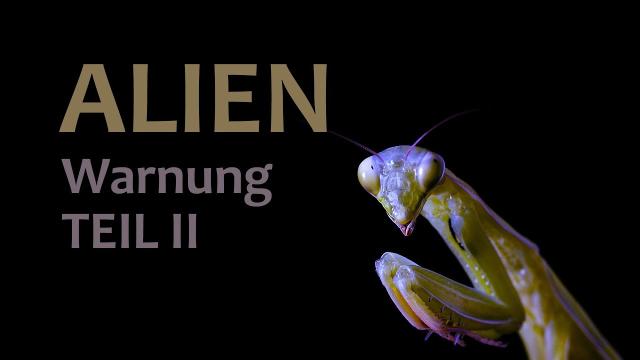 Alien-Warnung | Teil 2