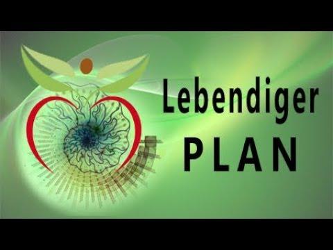 Fibonacci, Kosmos, Pflanzen-Kommunikation